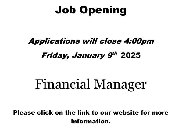 Job application for Financial Manager